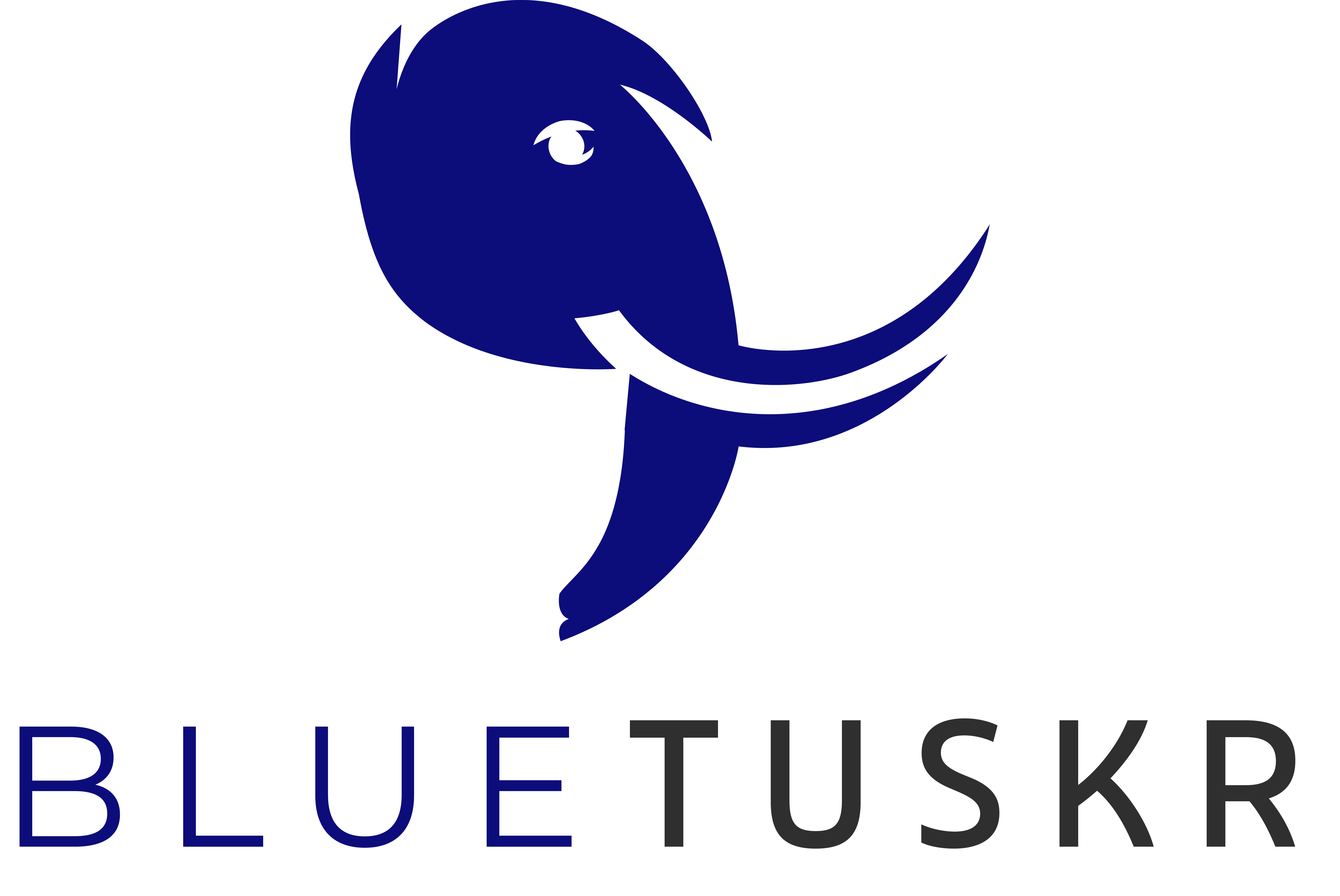Bluetuskr Logo