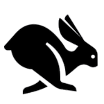 Fast Icon